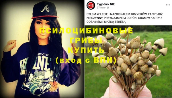 apvp Рославль