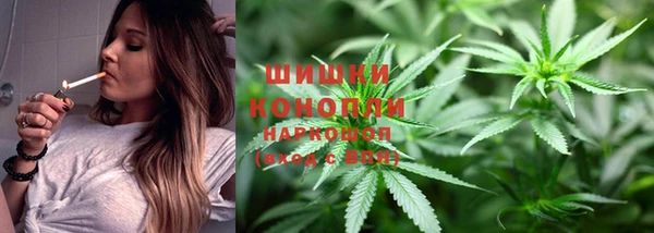 apvp Рославль