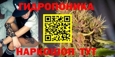 скорость Гусев