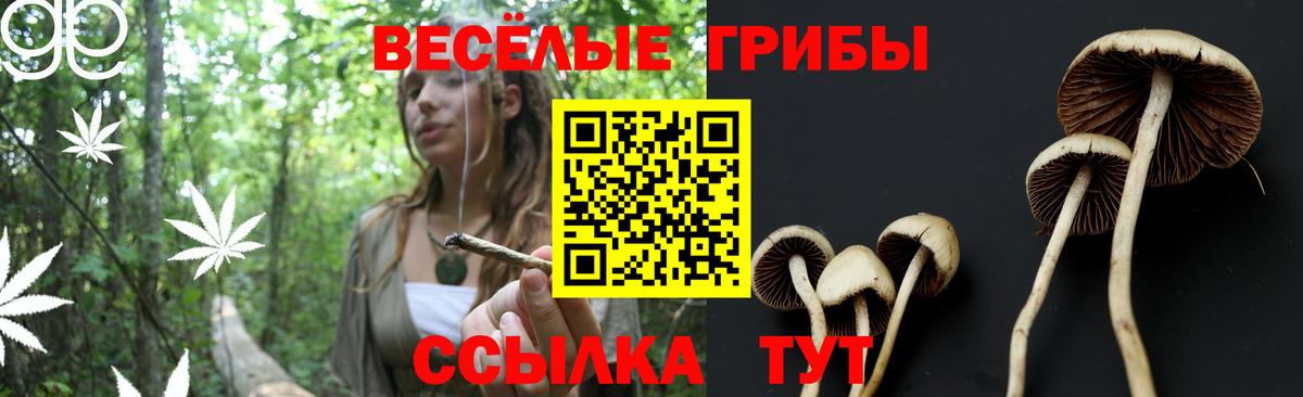 Псилоцибиновые грибы ЛСД  Вход с VPN  Соликамск 